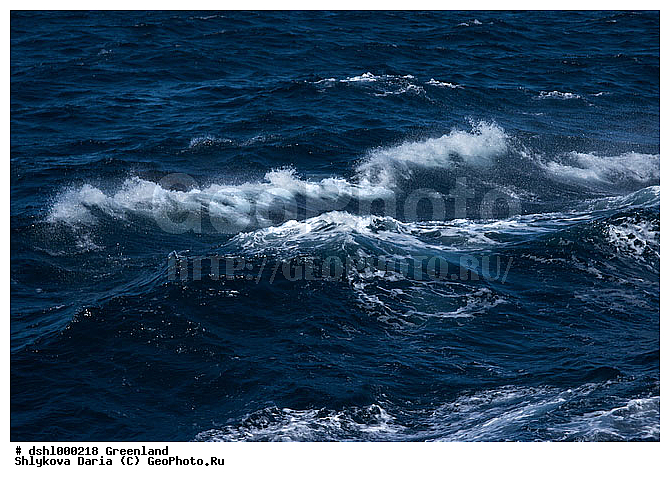 ����������, �����