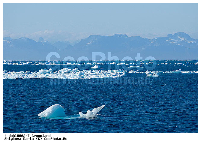 ����������, �����