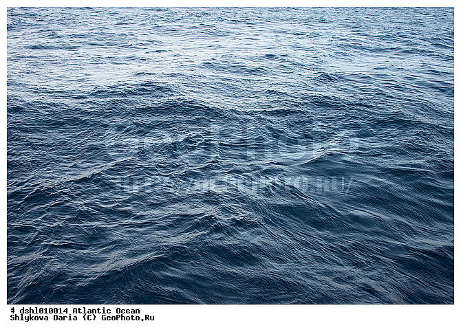 ���������, ������������� �����, ����, �����