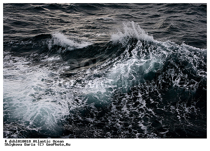 ���������, ������������� �����, ����, �����