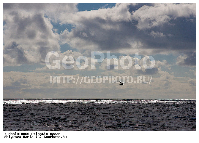 ���������, ������������� �����, ����, �����