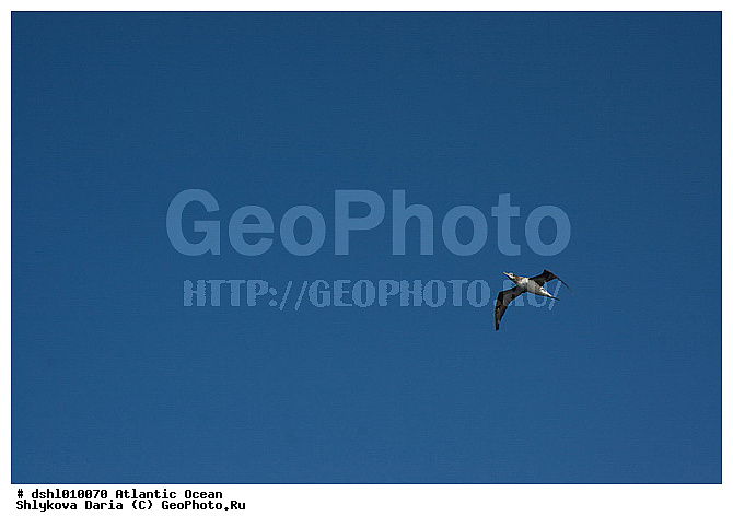 ���������, ������������� �����, ����, �����