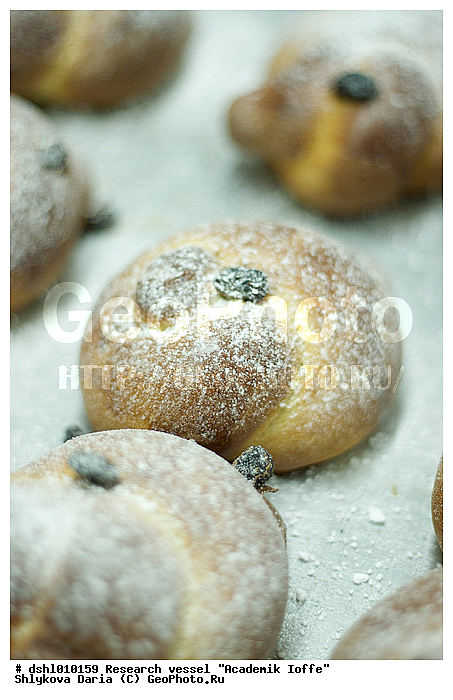 �������� �����, ���, ��� "�������� �����", ������