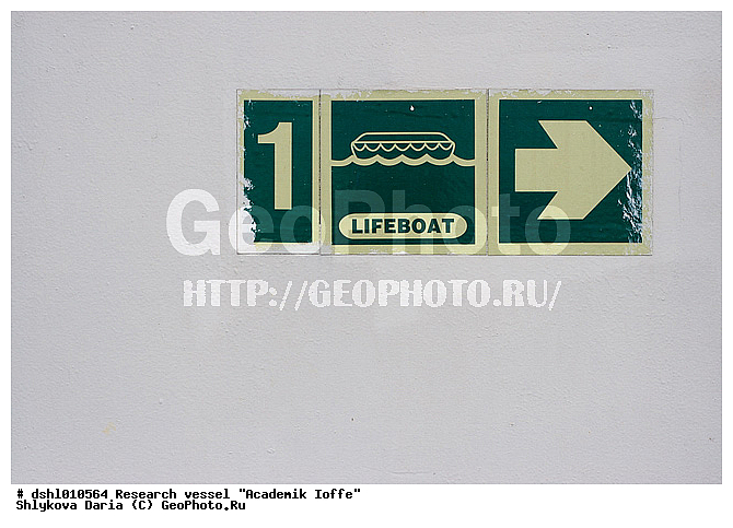 �������� �����, ���, ��� "�������� �����"