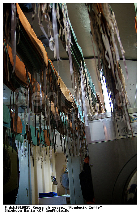 �������� �����, ���, ��� "�������� �����", ���������