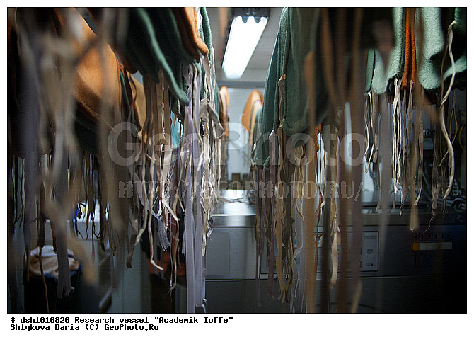 �������� �����, ���, ��� "�������� �����", ���������