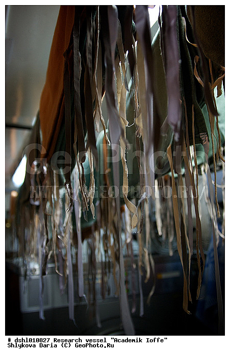 �������� �����, ���, ��� "�������� �����", ���������