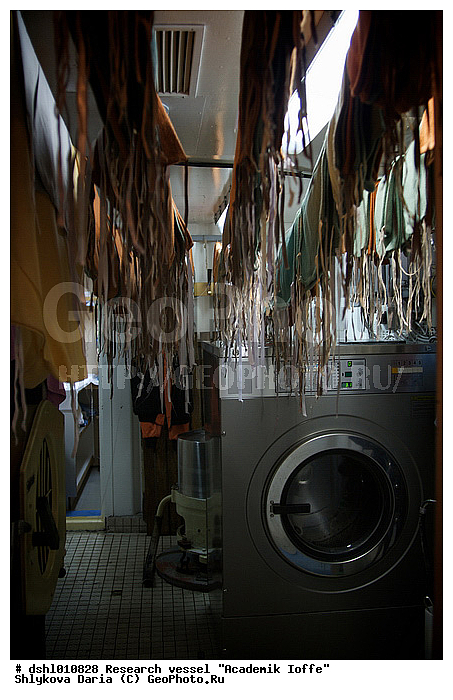 �������� �����, ���, ��� "�������� �����", ���������