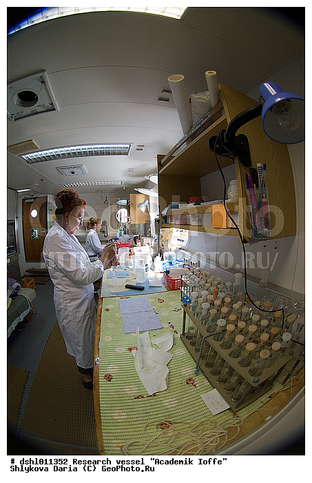 �������� �����, ���, ��� "�������� �����", ������������, �������������, �����, ������, �����