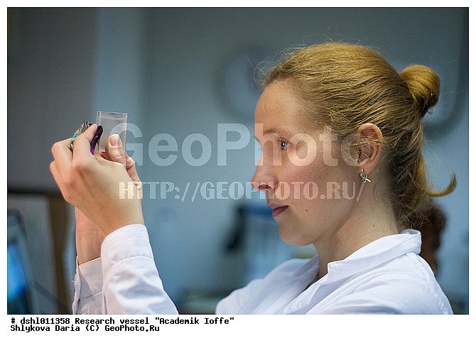 �������� �����, ���, ��� "�������� �����", ������������, �������������, �����, ������, �����