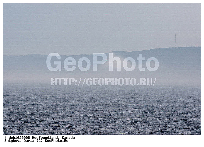 �������� �����, ������, ���, ������������