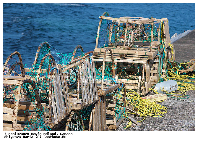 ������, ������������, ����-�������