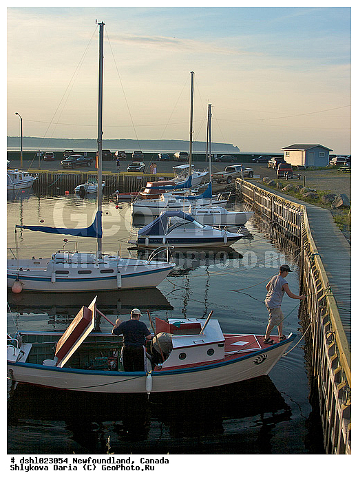 ������, ������������, ����-�������