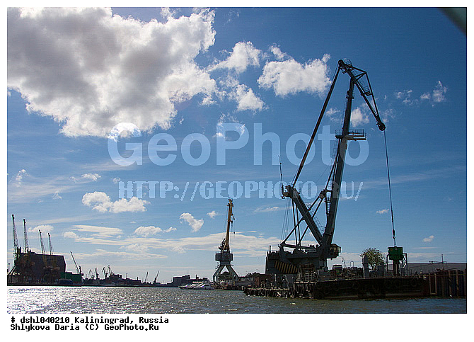 �����������, ������, ����