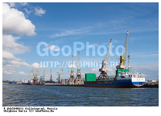 �����������, ������, ����