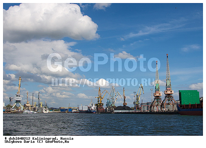 �����������, ������, ����