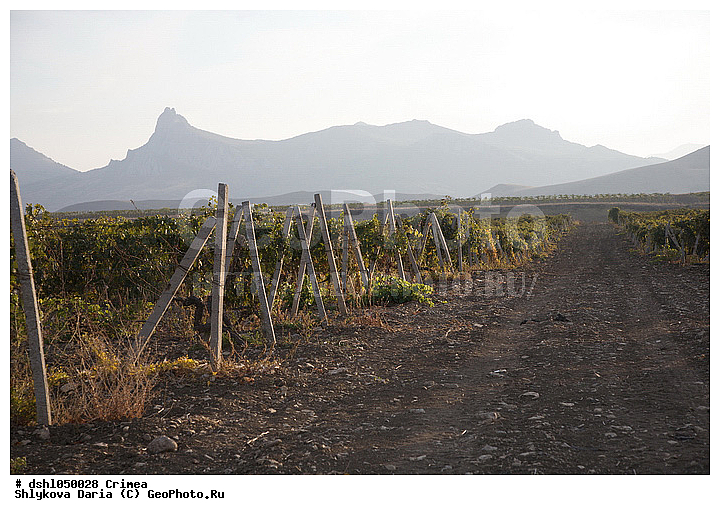 ���������, ����, ����, ������, ������