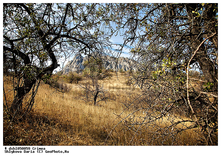 ���������, ����, ����, ������, ������