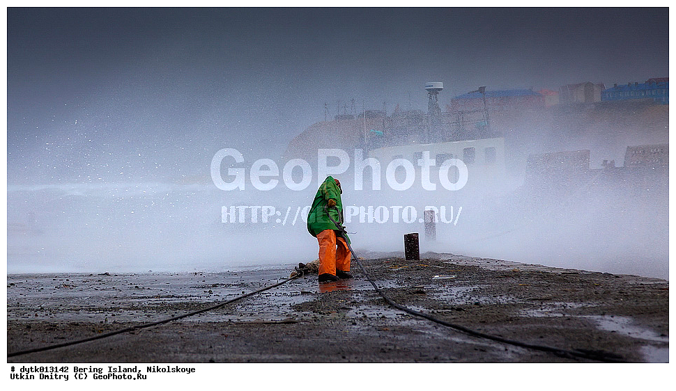  ������������ �������, ����� �����, �����, ������, �������, �����, ������ �������, ����, ������, ���������� �����, ����, ���� ����������, �������, �����, ��������� ����