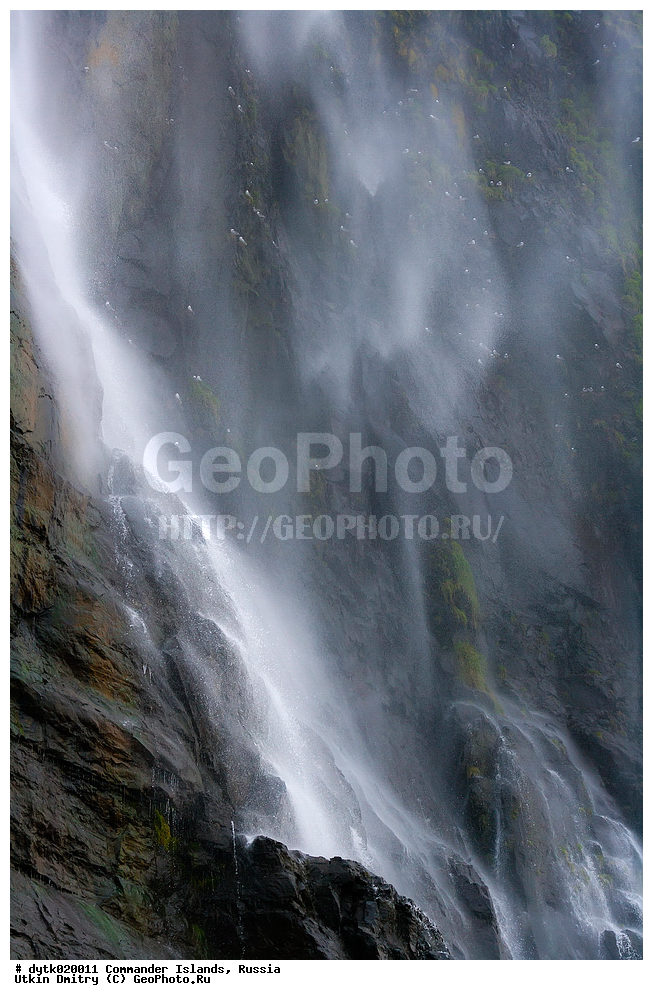 ������, ������, �������, ������, ������������ �������, ����� �����, ��������� ����, �����, �����, ����, ������� ������, 