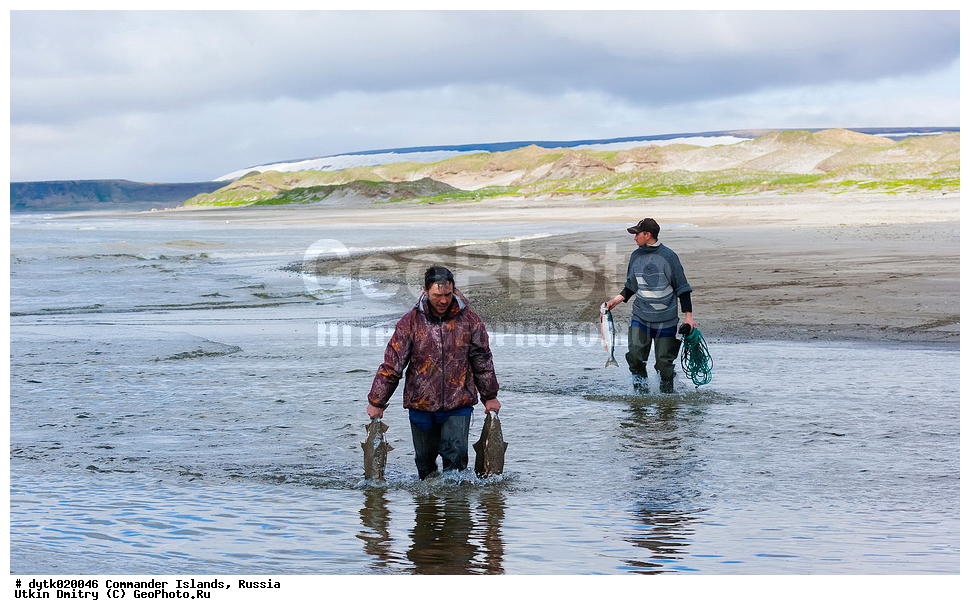 ����, �����, ������, �������, ������, �������, ������, ������������ �������, ����� �����, ��������� ����, �����, �����, ����, ������� ������, 