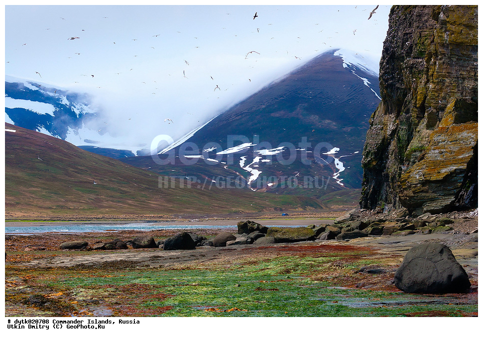 ������, ������, �������, ������, ������������ �������, ����� �����, ��������� ����, �����, �����, ����, ������� ������, 