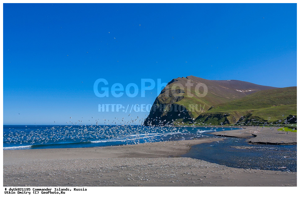 ������, ������, �������, ������, ������������ �������, ����� �����, ��������� ����, �����, �����, ����, ������� ������, 