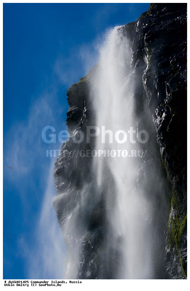 ������, ������, �������, ������, ������������ �������, ����� �����, ��������� ����, �����, �����, ����, ������� ������, 