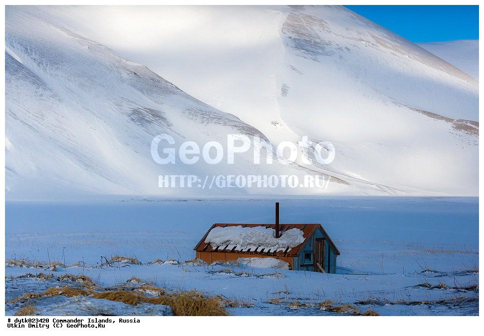 ������, ������, �������, ������, ������������ �������, ����� �����, ��������� ����, �����, �����, ����, ������� ������, 