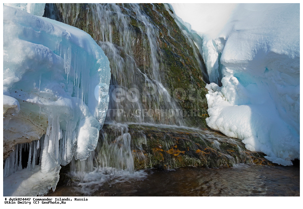 ������, ������, �������, ������, ������������ �������, ����� �����, ��������� ����, �����, �����, ����, ������� ������, 