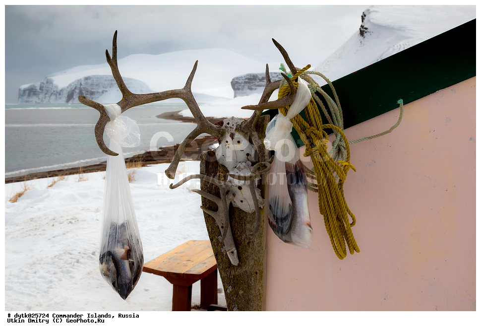 ����, �����, ������, �������, ������, �������, ������, ������������ �������, ����� �����, ��������� ����, �����, �����, ����, ������� ������, 