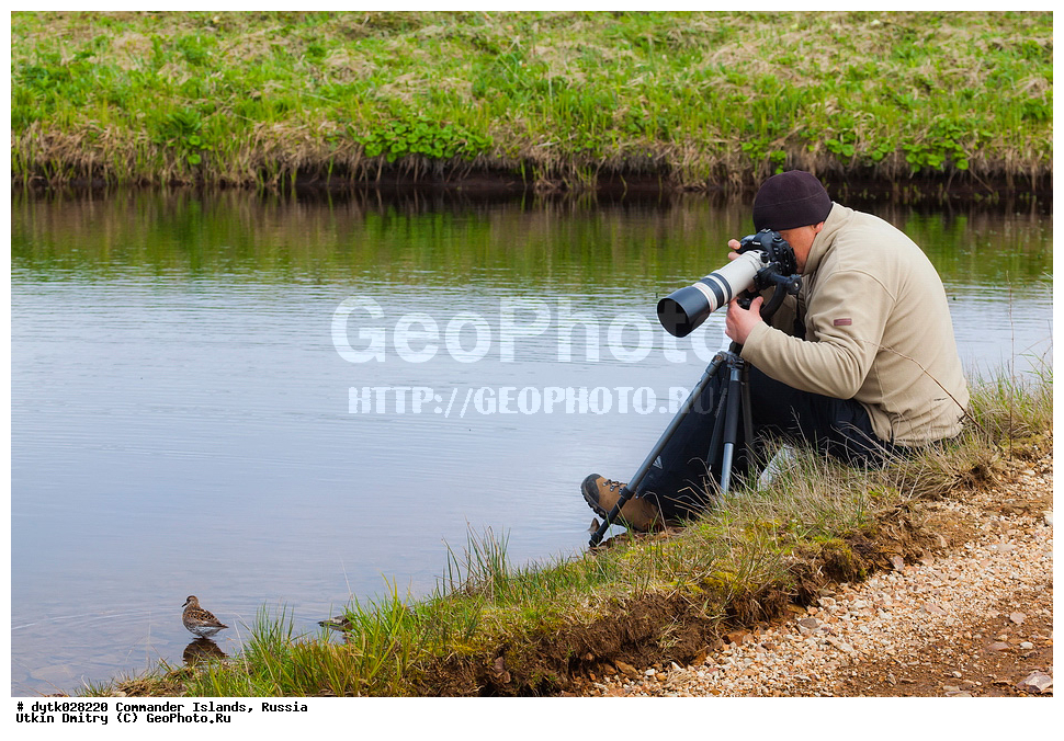 ������������ �������, ���������, �������, ��������, ��������, �������� � ����, �������� ��������, ����, ������� �����, ������ �������, ������� ��������, �������, ��������, ������� ������������, �����, ������, ��������, ����������, ��������