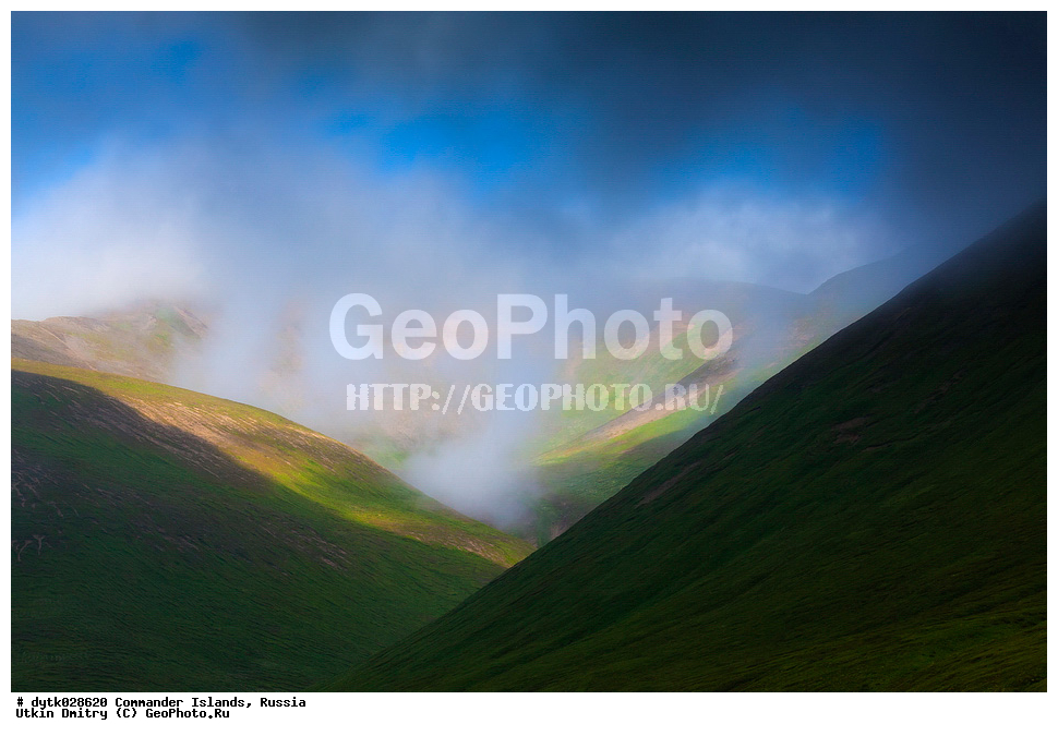 ������, ������, �������, ������, ������������ �������, ����� �����, ��������� ����, �����, �����, ����, ������� ������, 