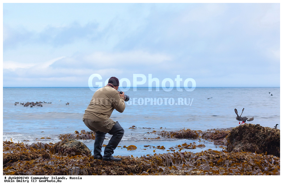  ������������ �������, ���������, ��������, ����, �������� � ����, ������, �������, �������� ��������, ��������, ��������, ������� ��������, ������� ������������, �������, ��������, �����, ������� �����, ��������, ������, ������ �������