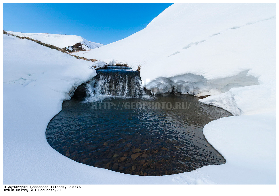 ������, ������, �������, ������, ������������ �������, ����� �����, ��������� ����, �����, �����, ����, ������� ������, 