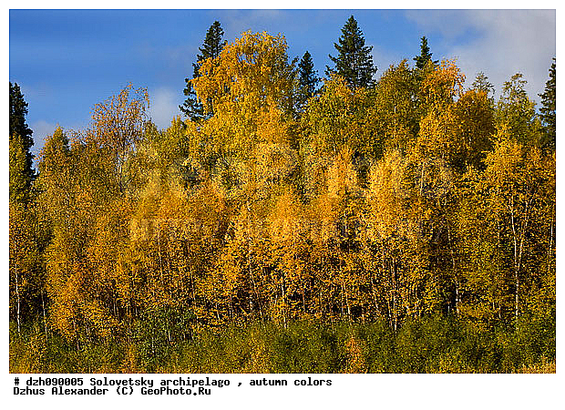 ������� �����, �������, ������, ������, ������, �������, �����, ������, ������ ����, �����