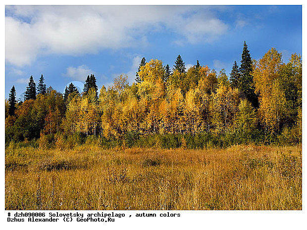 ������� �����, �������, ������, ������, ������, �������, �����, ������, ������ ����, �����