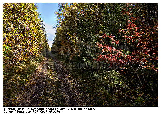 ������� �����, �������, ������, ������, ������, ������, �������, �����, ������, ������ ����, �����, �����