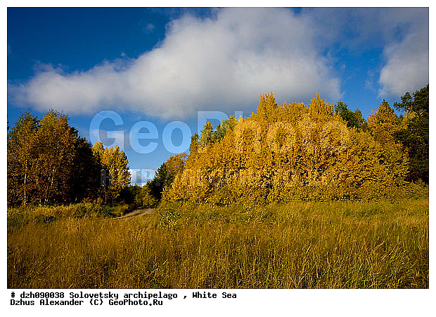 ������� �����, �������, ������, �������, �����, ������, ������ ����, �����