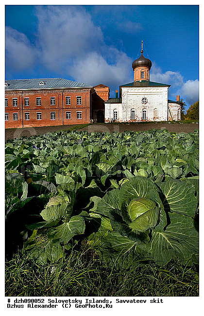 �������, ���, �������� ����, ����������, �������, �������, ���������, �����, ������, ������, ����, ������������