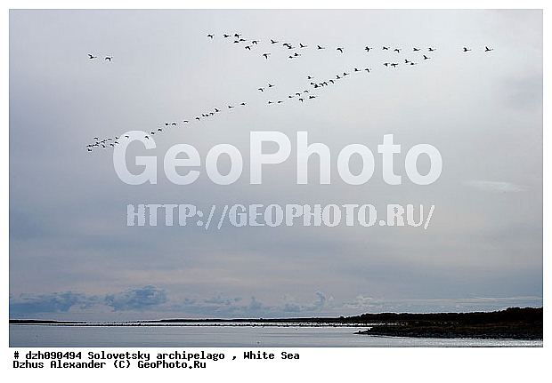 ����� ����, ����, ������, ��� �����, �������, ����