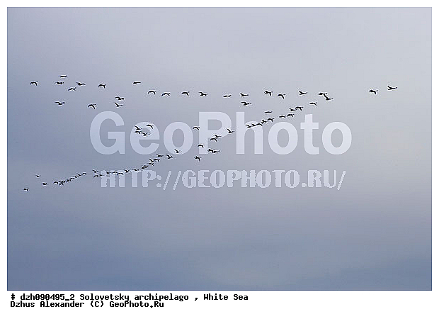 ����� ����, ����, ������, ��� �����, �������, ����