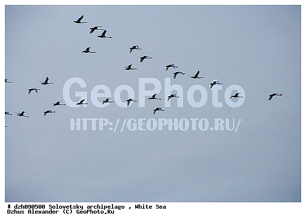 ����� ����, ����, ������, ��� �����, �������, ����