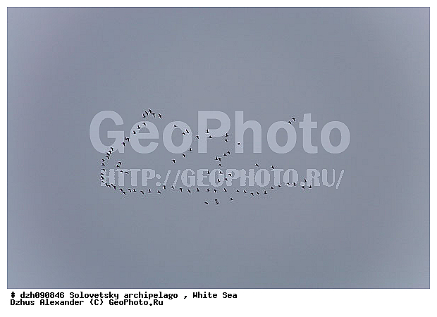 ����� ����, ����, ������, ��� �����, �������, ����