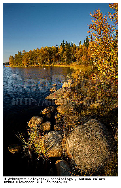 ������� �����, �������, ������, ������, �����, ������, �������, �����, ������, ������ ����, �����, �����