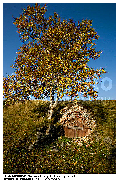 �������, ���, ����������, �������, �������, ���������, ������� �����, �����, ������, ������