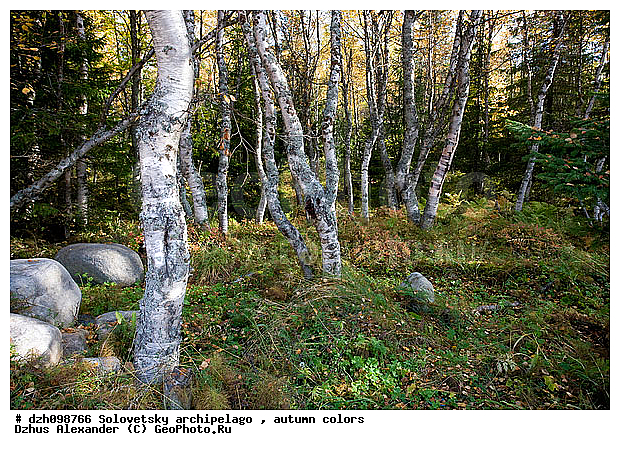 ������� �����, �������, ������, ���������, ������, ����������, ����������, ������, �������, �����, ������, �����