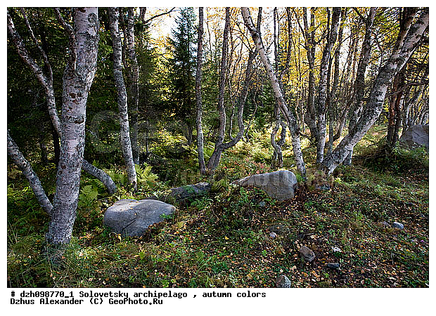 ������� �����, �������, ������, ���������, ������, ����������, ����������, ������, �������, �����, ������, �����