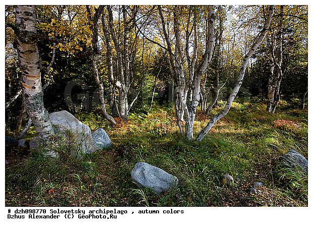 ������� �����, �������, ������, ���������, ������, ����������, ����������, ������, �������, �����, ������, �����