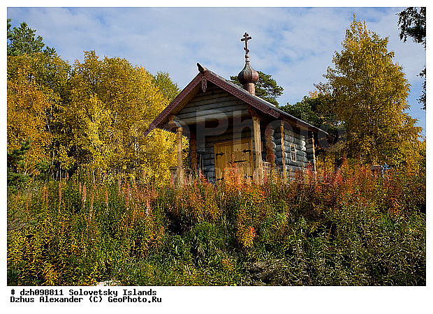 �������, ������� ���������� ������, ���, ����������, ���������� ���������, �������, ������� ���� ������, �������, ���������, �����, ������, ������, ������������